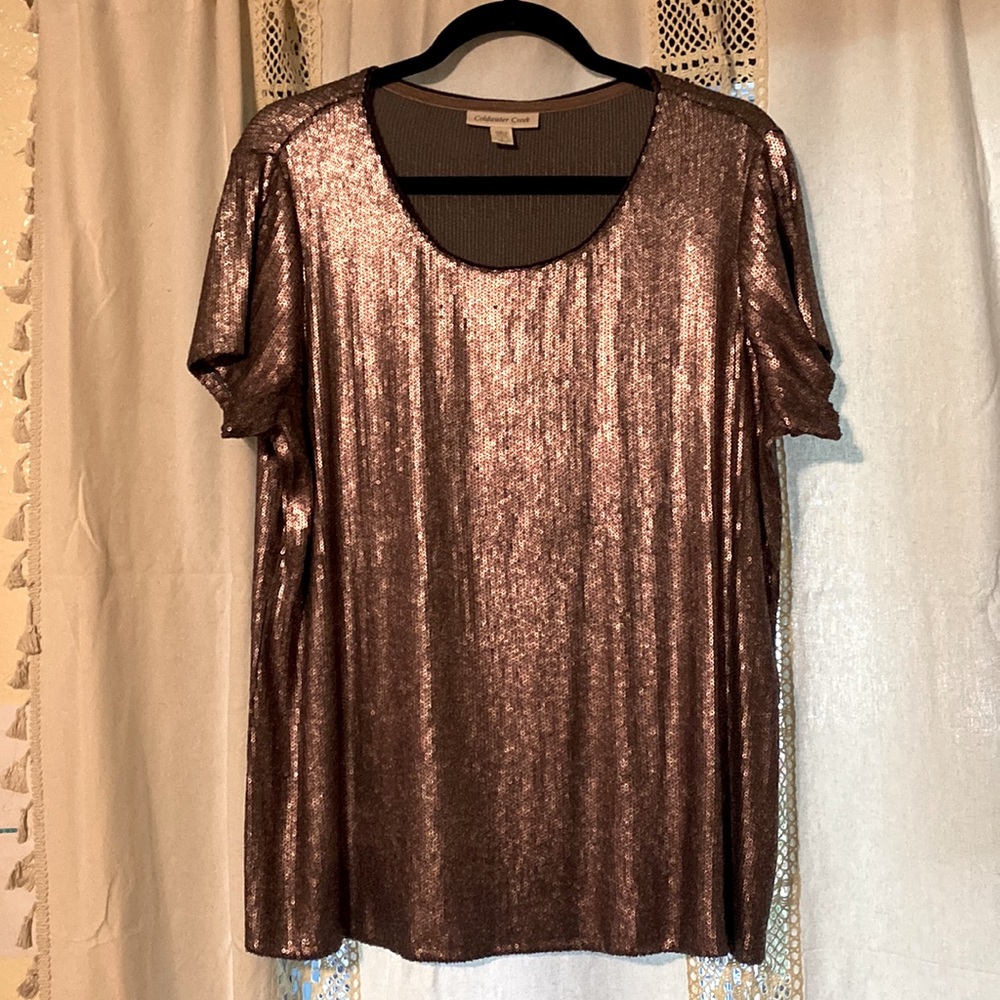 Coldwater Creek sequin blouse, L